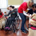 Therapy Dogs