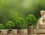 green_bonds_coins_0