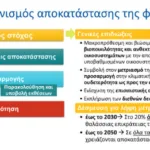 Screenshot 2025-03-10 161355
