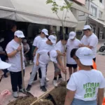 PEDMEDE ECO – Δεντροφύτεση (002)