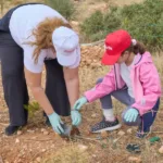 Όμιλος Fourlis: Οι επιδόσεις βιωσιμότητας του 2025